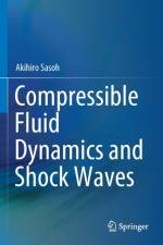 Compressible Fluid Dynamics and Shock Waves af Akihiro Sasoh