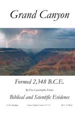 Grand Canyon af E H Watts