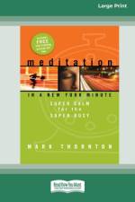 Meditation in a New York Minute af Mark Thornton
