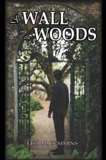 A Wall in the Woods af Lisa M Cummins