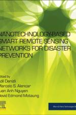 Nanotechnology-Based Smart Remote Sensing Networks for Disaster Prevention