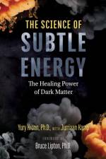 The Science of Subtle Energy af Yury Kronn