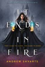 It Ends in Fire af Andrew Shvarts