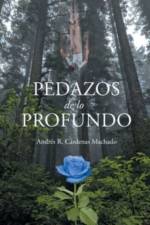 Pedazos de lo Profundo af Andres R Cardenas Machado