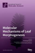 Molecular Mechanisms of Leaf Morphogenesis