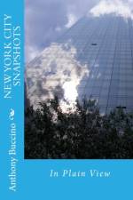 NEW YORK CITY SNAPSHOTS In Plain View af Anthony R Buccino