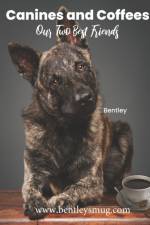 Canines and Coffee af Bentley's Mug Coffee and Tea