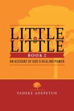 Little by Little- Book 2 af Fadeke Adepetun