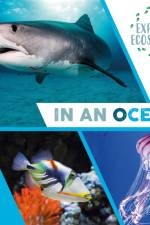 Explore Ecosystems: In an Ocean af Sarah Ridley