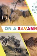 Explore Ecosystems: On a Savannah