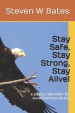 Stay Safe, Stay Strong, Stay Alive! af Steven W Bates