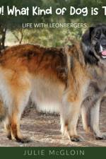 Hey! What Kind of Dog is That? af Julie McGloin
