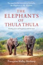 The Elephants of Thula Thula af Francoise Malby-Anthony