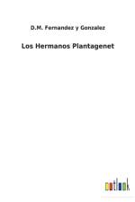 Los Hermanos Plantagenet af D M Fernandez Y Gonzalez