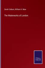 The Waterworks of London