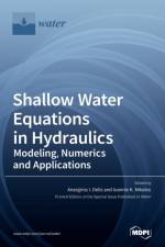 Shallow Water Equations in Hydraulics af ANARGIROS I. DELIS