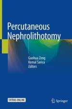 Percutaneous Nephrolithotomy