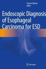 Endoscopic Diagnosis of Esophageal Carcinoma for ESD