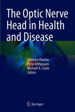 The Optic Nerve Head in Health and Disease