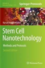Stem Cell Nanotechnology