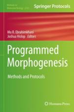 Programmed Morphogenesis
