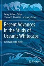 Recent Advances in the Study of Oceanic Whitecaps