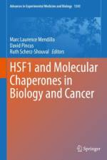 HSF1 and Molecular Chaperones in Biology and Cancer