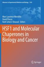 HSF1 and Molecular Chaperones in Biology and Cancer