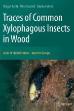 Traces of Common Xylophagous Insects in Wood af Magali Toriti