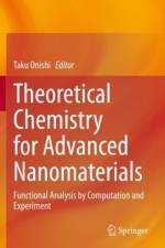 Theoretical Chemistry for Advanced Nanomaterials