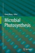 Microbial Photosynthesis