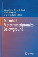 Microbial Metatranscriptomics Belowground