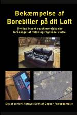 Bekæmpelse af Borebiller på dit Loft af Gitte Ahrenkiel
