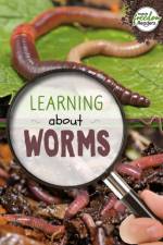 Learning about Worms af Holly Duhig