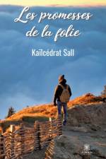 Les promesses de la folie af Kailcedrat Sall