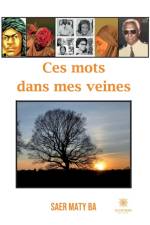 Ces mots dans mes veines af Maty Ba Saer