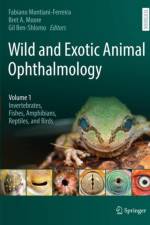 Wild and Exotic Animal Ophthalmology