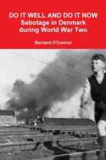 Do it Well and Do it Now af Bernard O'Connor