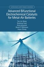Advanced Bifunctional Electrochemical Catalysts for Metal-Air Batteries af Yan-Jie (Dongguan University of Technology Wang