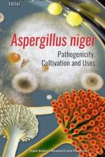 Aspergillus niger
