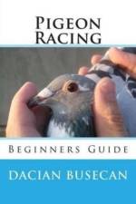 Pigeon Racing af Dacian Busecan