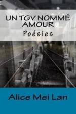 UN TGV NOMM  AMOUR af Alice Mei Lan