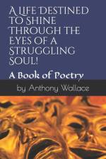 A LIFE DESTINED TO SHINE THROUGH THE EYE af Anthony B. Wallace