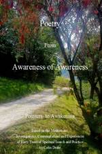 Poetry From Awareness of Awareness af Colin Drake