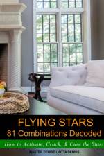 Flying Stars 81 Combinations Decoded af Denise Liotta Dennis