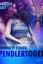 Forbudte steder: Pendlertoget – erotisk novelle af Vanessa Salt