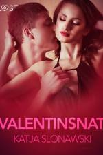 Valentinsnat – erotisk novelle af Katja Slonawski
