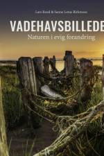 Vadehavsbilleder