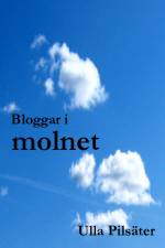 Bloggar i molnet af Ulla Pilsäter