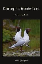 Den jag inte trodde fanns : och naturens kraft af Anna Granlund